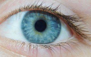 Какие бывают разновидности цвета глаз у людей и от чего он зависит