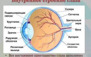 Как укрепить сетчатку глаза