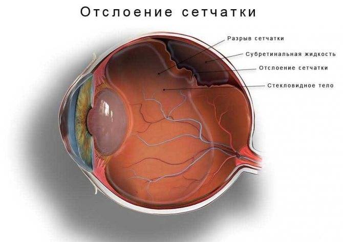 Витамины для сетчатки глаза
