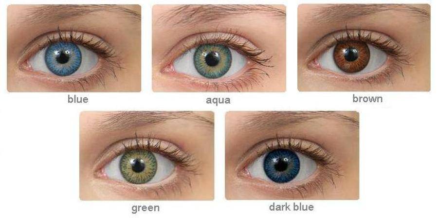 Как правильно подобрать контактные линзы для глаз? инструкция подбора линз без врача, самостоятельно, а также ночных и детских