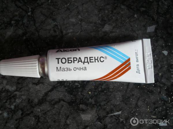 Тобрадекс: инструкция по применения глазных капель, особые указания, режим дозирования и аналоги
