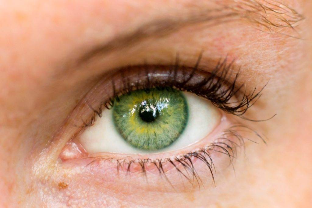От чего зависит цвет глаз у человека