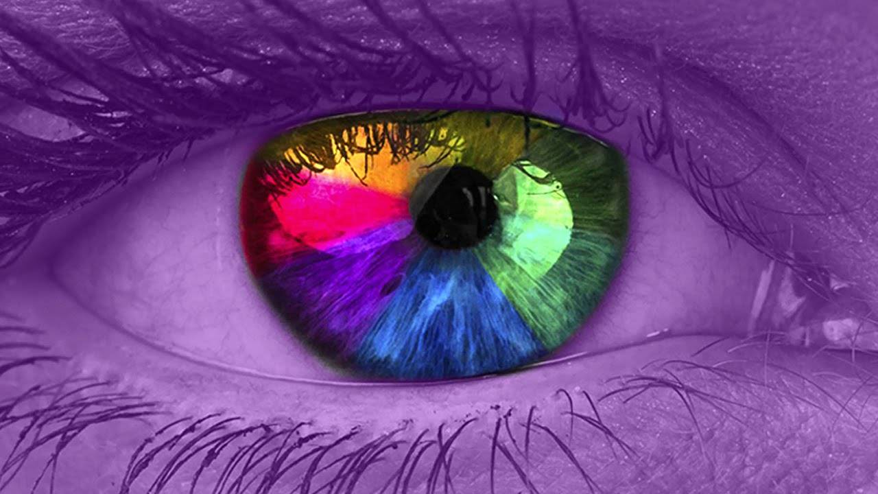Цвет и зрение человека