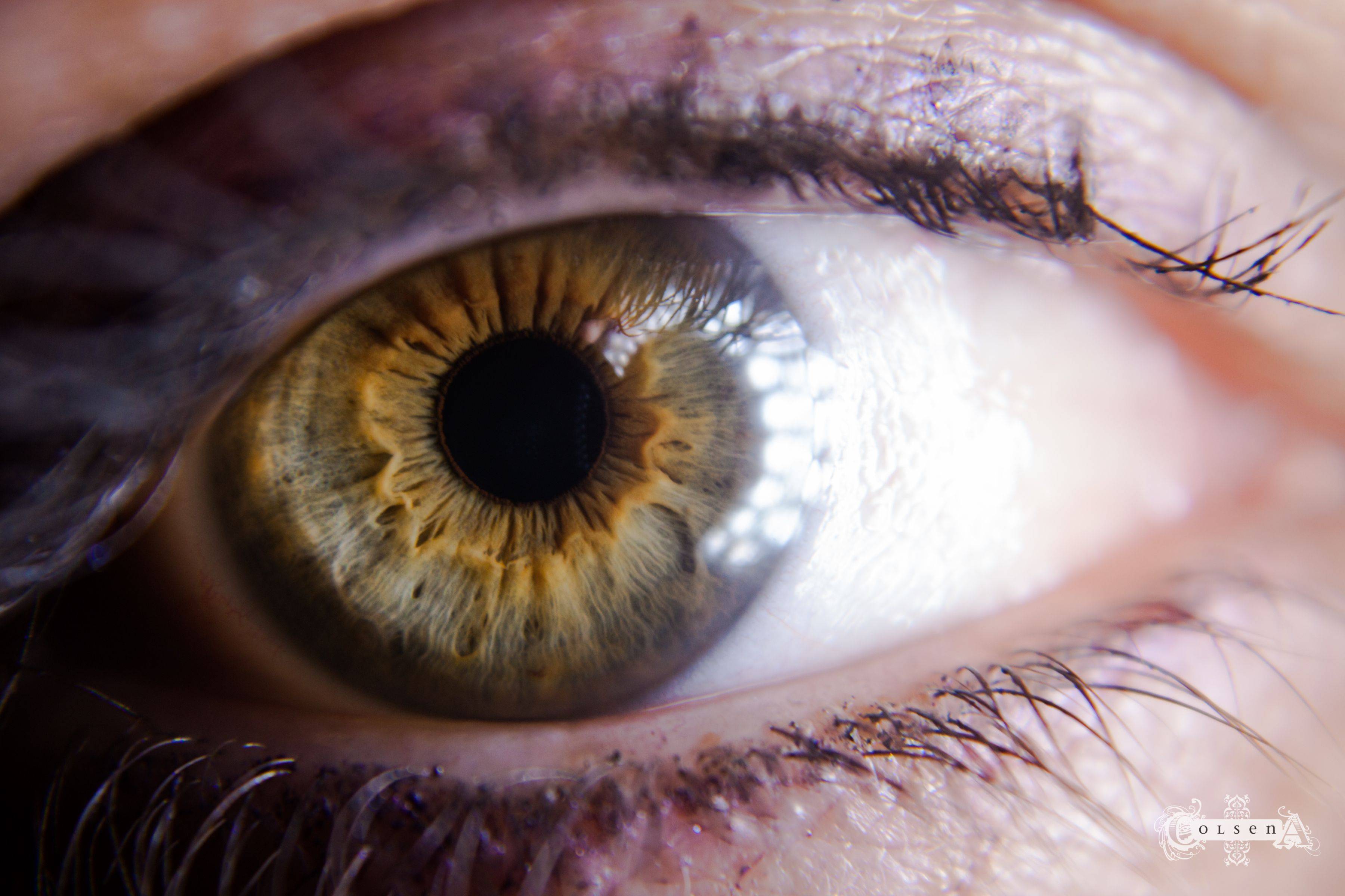 Возможен ли фиолетовый цвет глаз у человека: фото людей с такими глазами