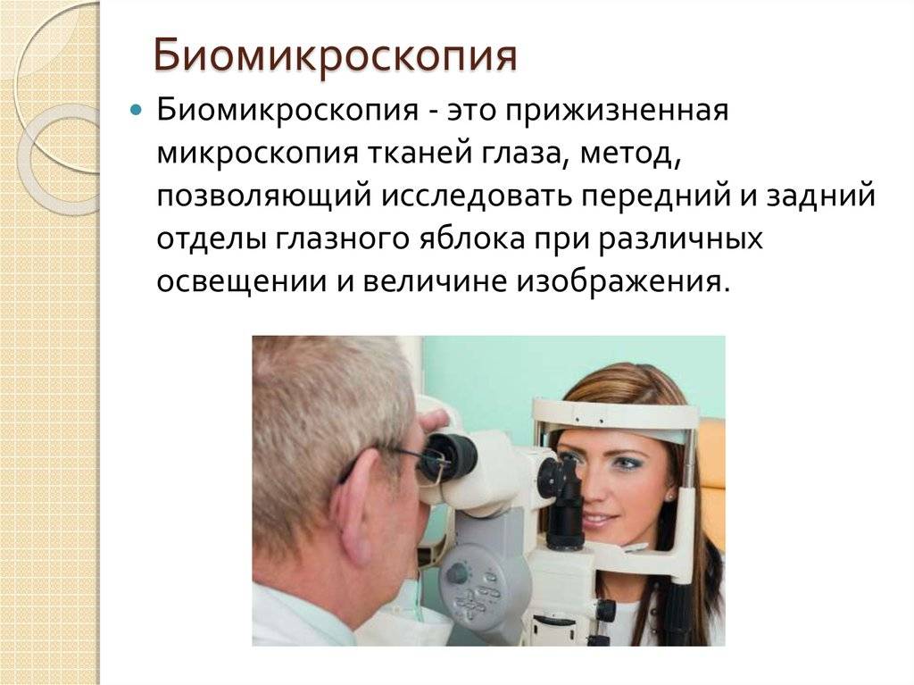 Эндотелиальная биомикроскопия. безопасный бесконтактный метод исследования и диагностики сред глаза: что такое биомикроскопия? как проводится биомикроскопия глаза