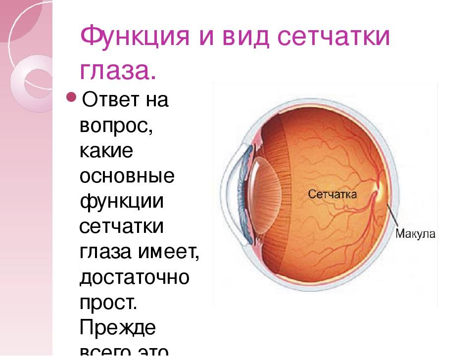 Признаки отслоения сетчатки глаза: симптомы, лечение хирургическим методом