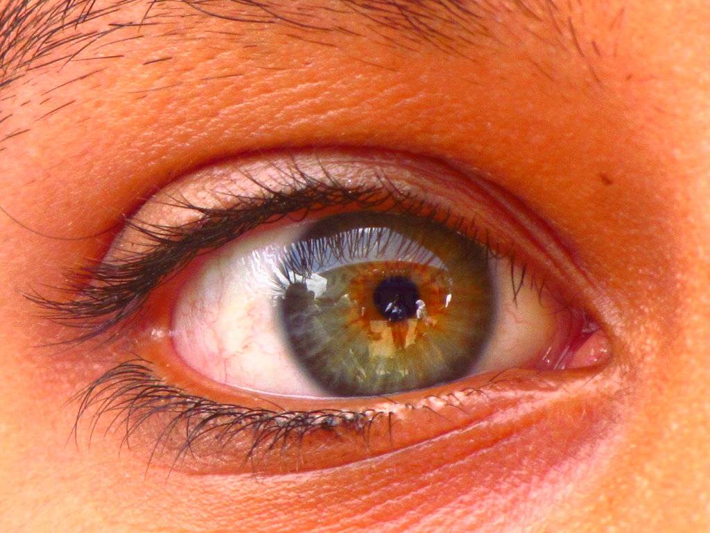 Янтарный цвет глаз