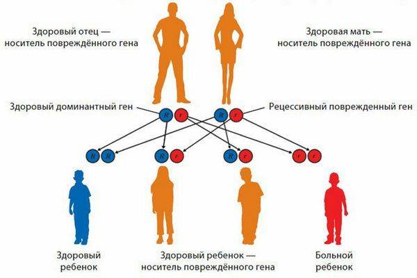 Передается ли косоглазие по наследству от родителей - медицинский справочник medana-st.ru