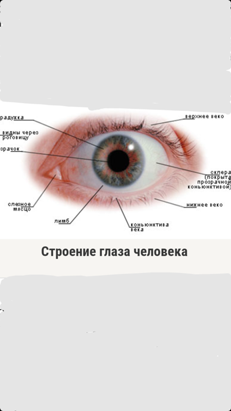 Болят глаза: возможные причины и лечение