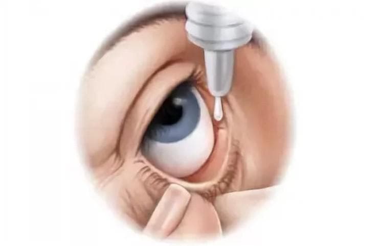 Основные функции конъюнктивальной полости глаза