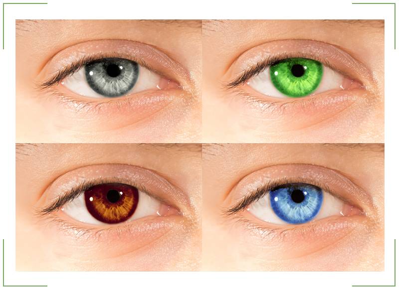 Как изменить цвет глаз? способы без линз и операций, самовнушением, лазером