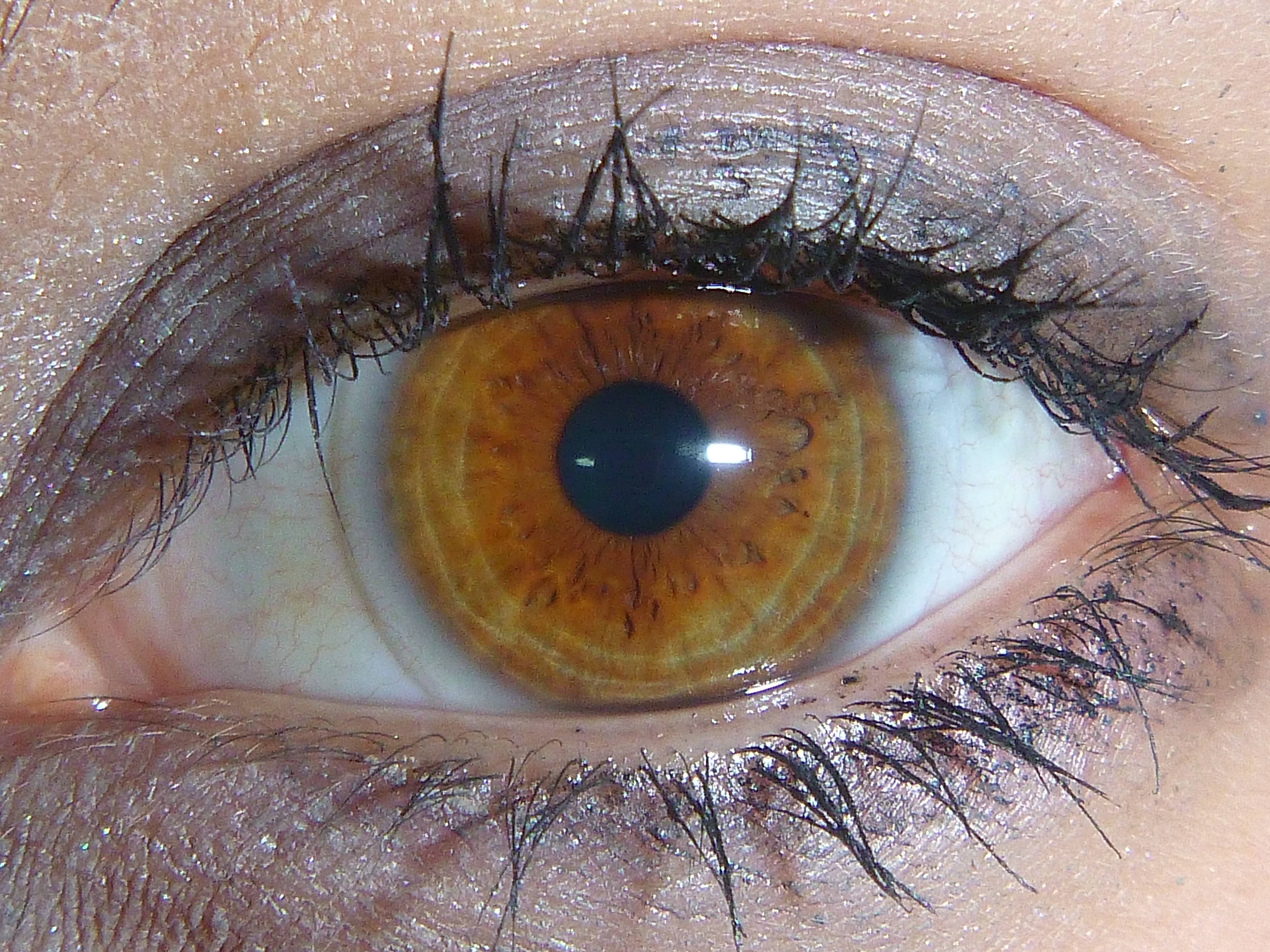 Цвет глаз и характер. обладатели зелено-карих, серо-карих и серо-каре-зеленых глаз | mystery life