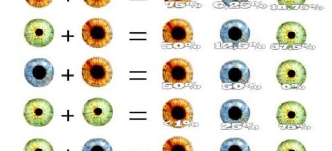 Меняется ли цвет глаз у новорожденных детей
