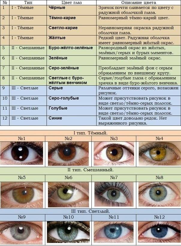 Что означает цвет глаз, как он влияет на характер и жизнь человека