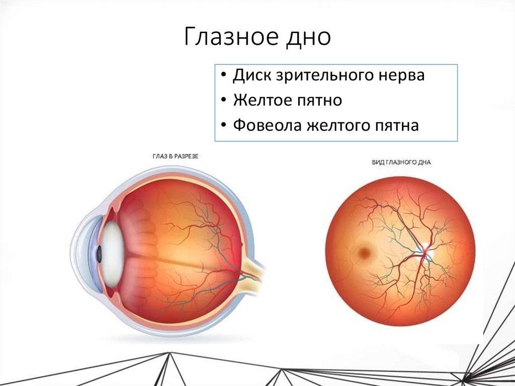 Проверка глазного дна