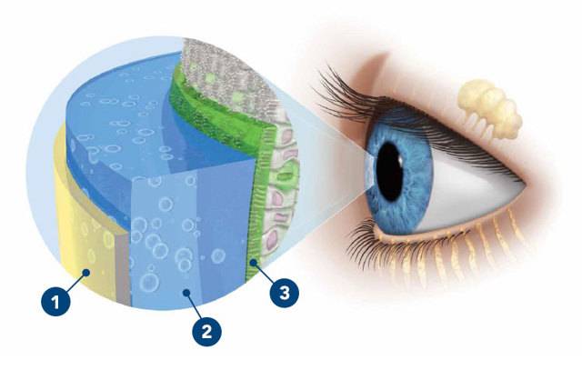 Синдром сухого глаза: симптомы, виды лечения и профилактика