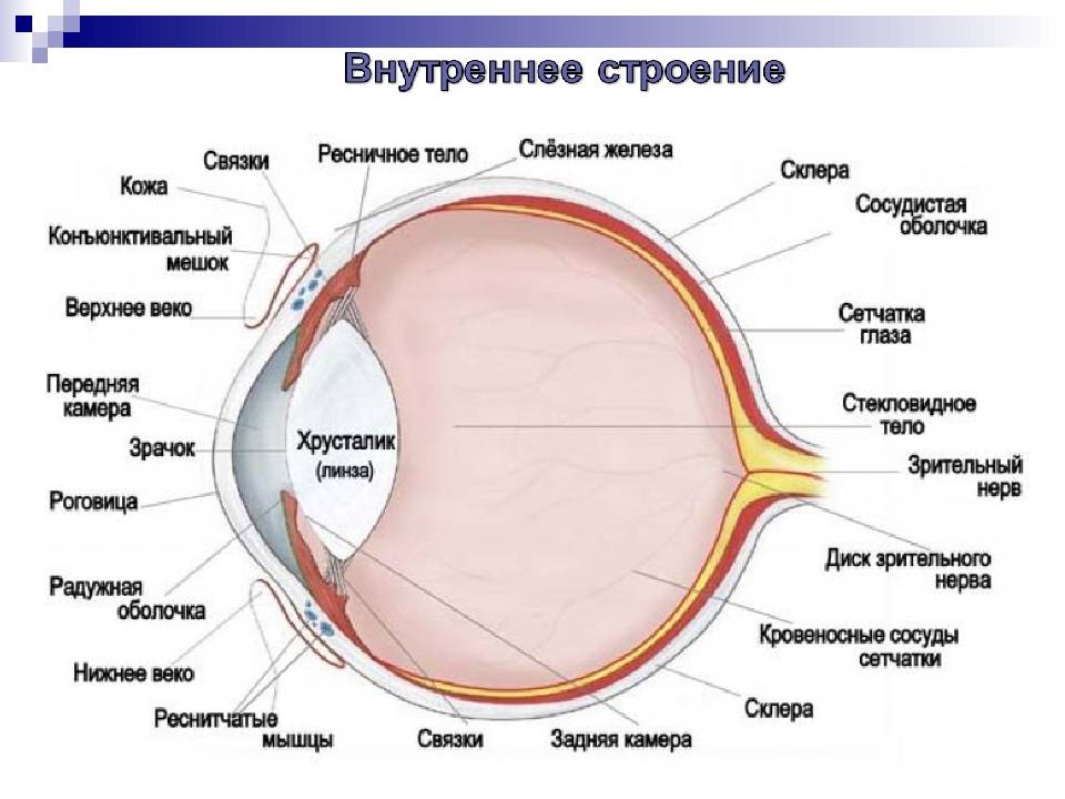 Нарост на глазном яблоке: причины и симптомы образования, методы лечение, фото