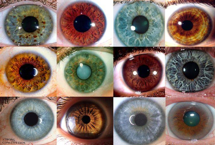 Глаза могут менять цвет с возрастом. почему меняется цвет глаз у человека? фото, причины и значение