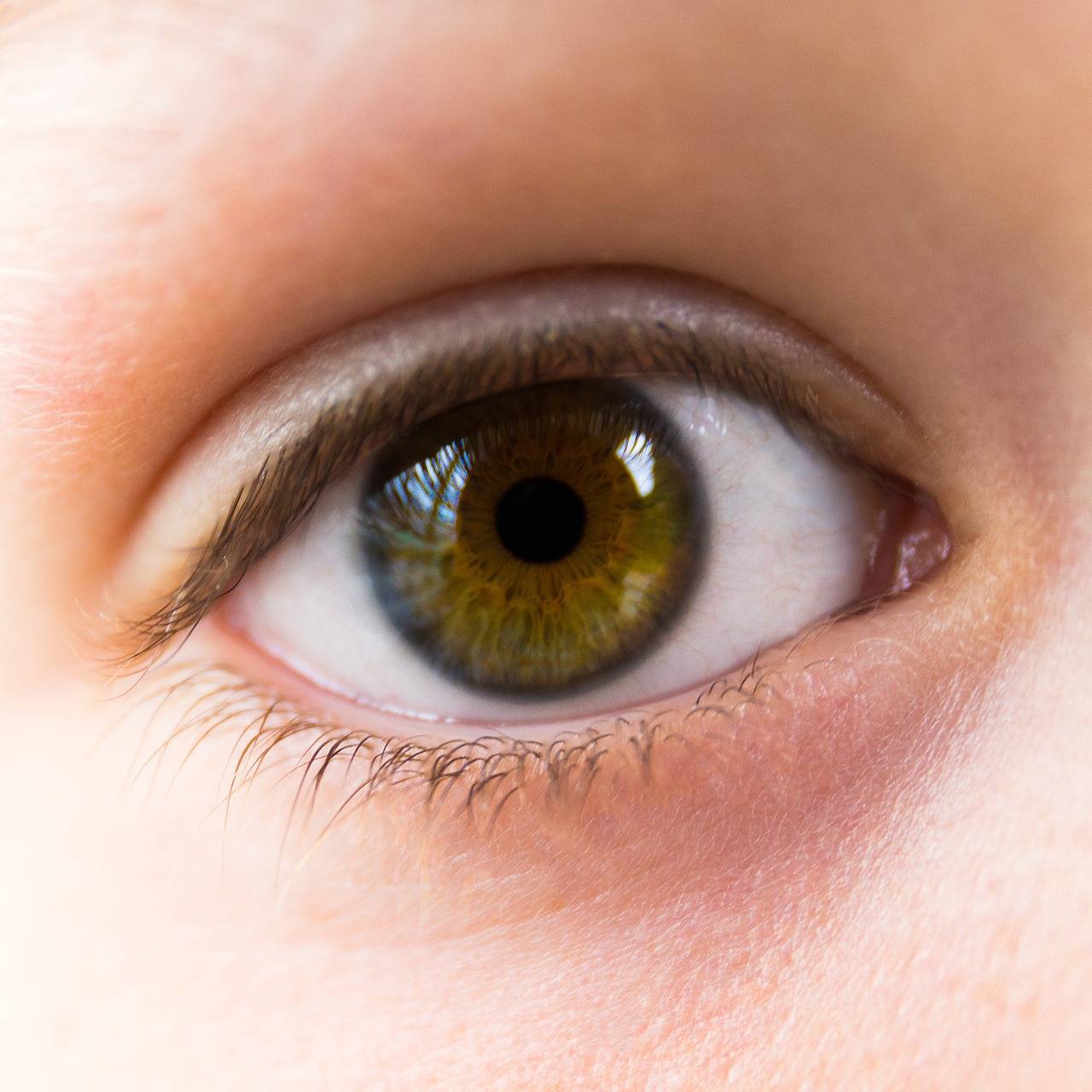 Процент обладателей болотного цвета глаз