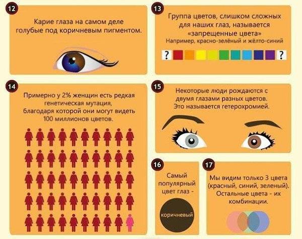 24 интересных факта о глазах и зрении