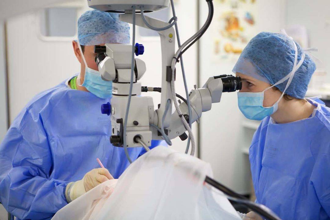 Фэк: ультразвуковая операция, факоэмульсификация катаракты с имплантацией интраокулярной линзы, иол что это такое в офтальмологии