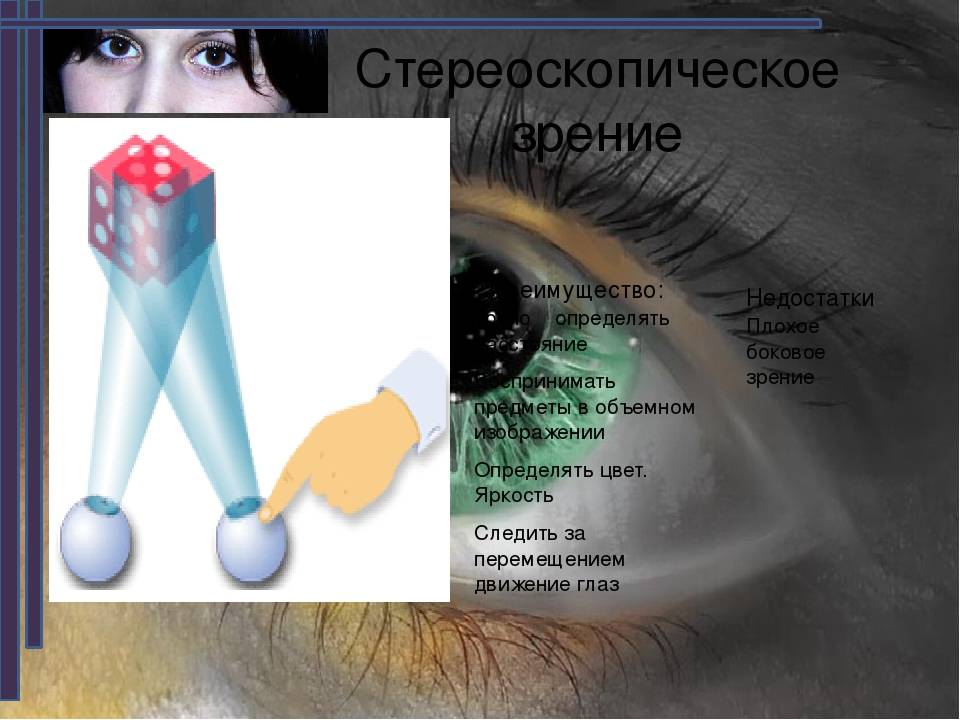 Бинокулярное зрение: что это означает, отклонения и методы лечения