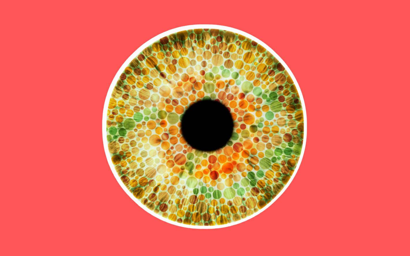 Дальтонизм: как устроена цветовая слепота?