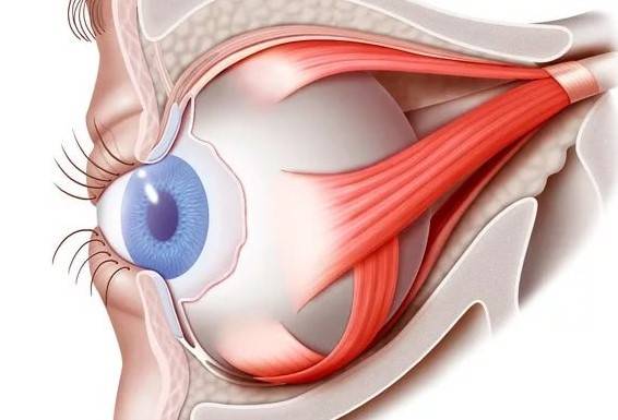 Эвисцерация - удаление содержимого глаза - как проводится