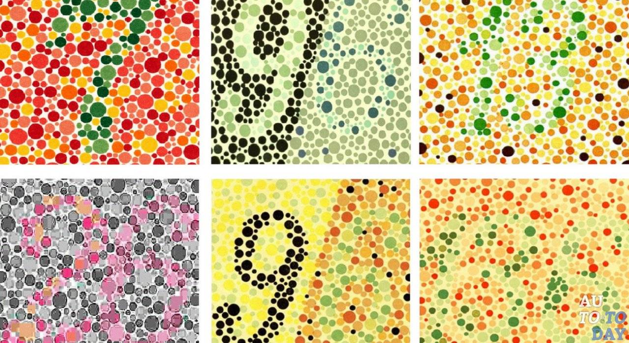 Таблицы рабкина для исследования зрения на цветовосприятие - тест на дальтонизм с большими картинками и с ответами онлайн