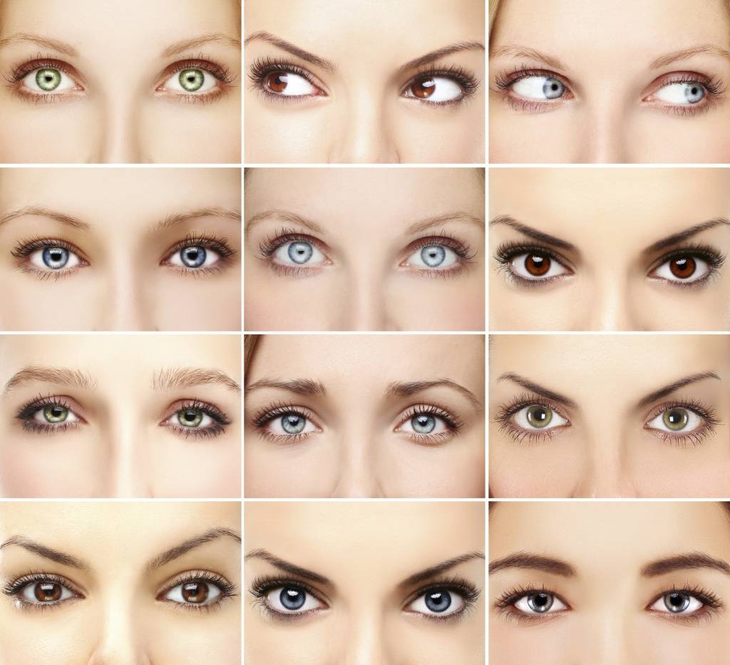Виды глаз у человека: какие бывают типы, как определить форму, описание