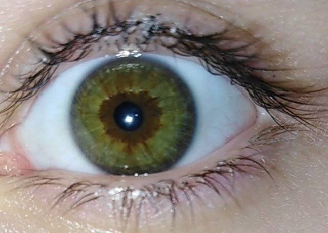 Самый редкий цвет: вся правда о зеленых глазах