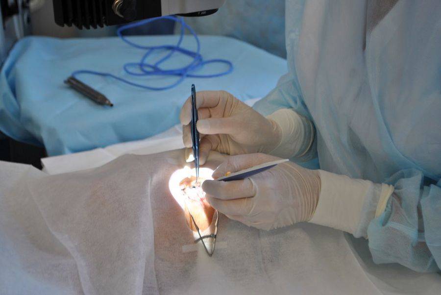 Противопоказания к лазерной коррекции зрения: когда нельзя делать операцию при близорукости