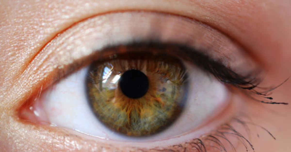 Самые редкие виды цвета глаз: янтарный, болотный, сапфировый и зелёный