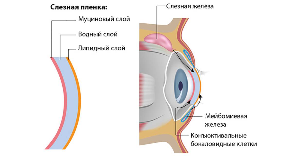 Пленка на глазах: причины, симптомы, лечение - "здоровое око"