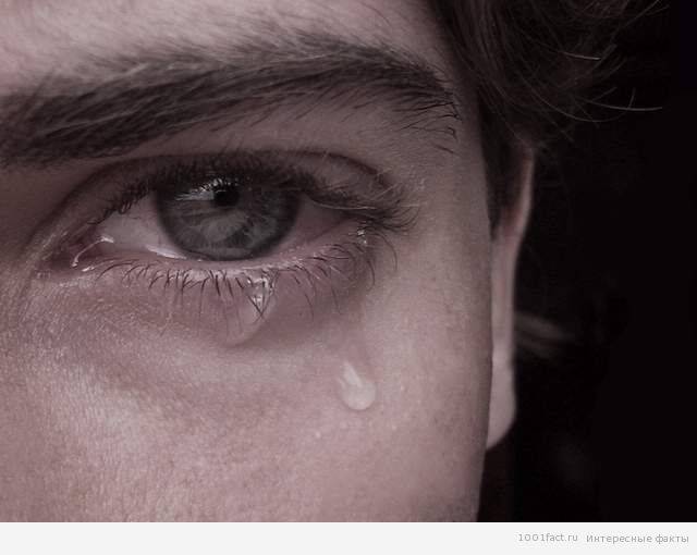 Чувства 
и предубеждения: 
почему мы плачем 
и это нормально
