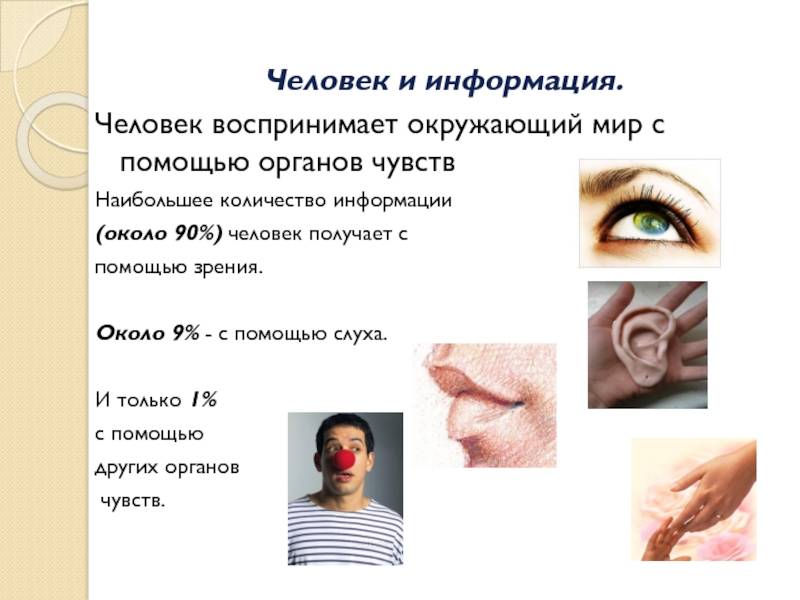 Сколько информации человек получает через зрение - 103doctor.ru