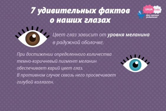 30 любопытных фактов о глазах и зрении • всезнаешь.ру