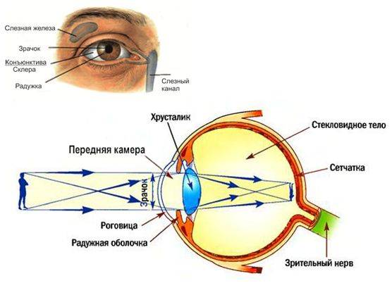 Кому поможет лазерная коррекция зрения