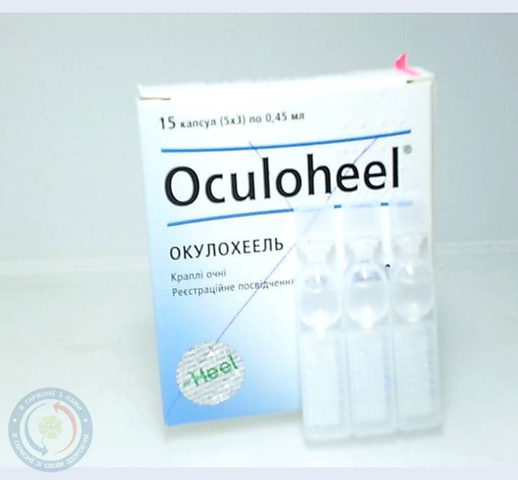 Окулохеель – инструкция по применению глазных капель окулохель