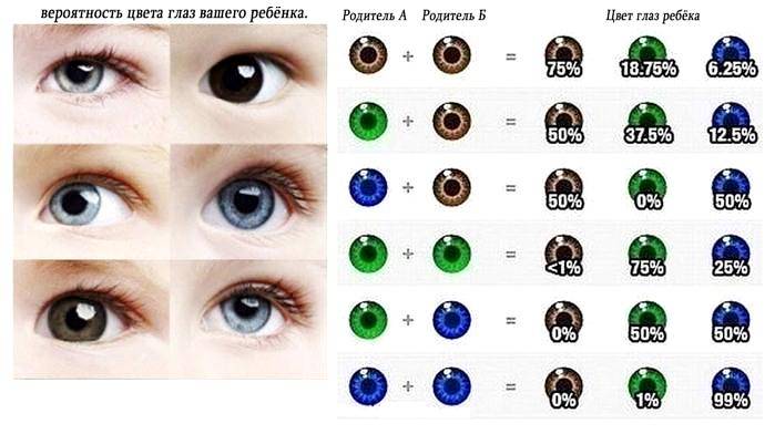 Сайт какой будет ребенок. У родителей карие глаза а у ребенка голубые. Цвет глаз у ребёнка от родителей таблица у отца зеленые глаза. Генетика цвет глаз наследование. Цвет глаз у ребёнка от родителей таблица голубые и карие.