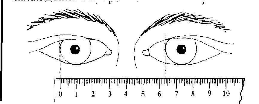 Линзы 14.2 и 14 чем отличается. какой линейкой изменяют роговицу: как узнать размер глаз для линз и диаметр изделий? определение размера линзы на примере линз acuvue