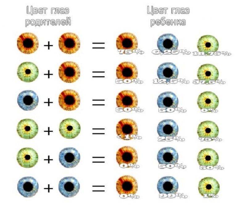 Значение цвета глаз (зеленые, серые, голубые) у мужчин и женщин