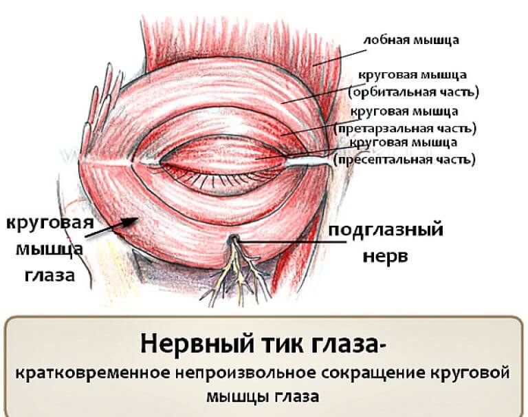 Почему дергается глаз? причины нервного тика в левом или правом глазу