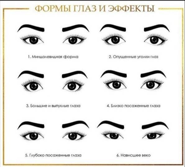 Что означают формы и типы глаз