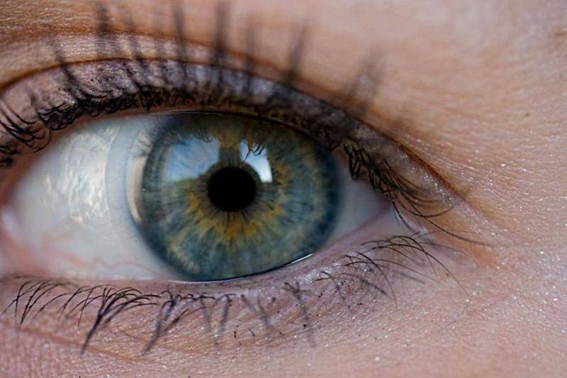 Зелено-карий цвет глаз - значение, особенности