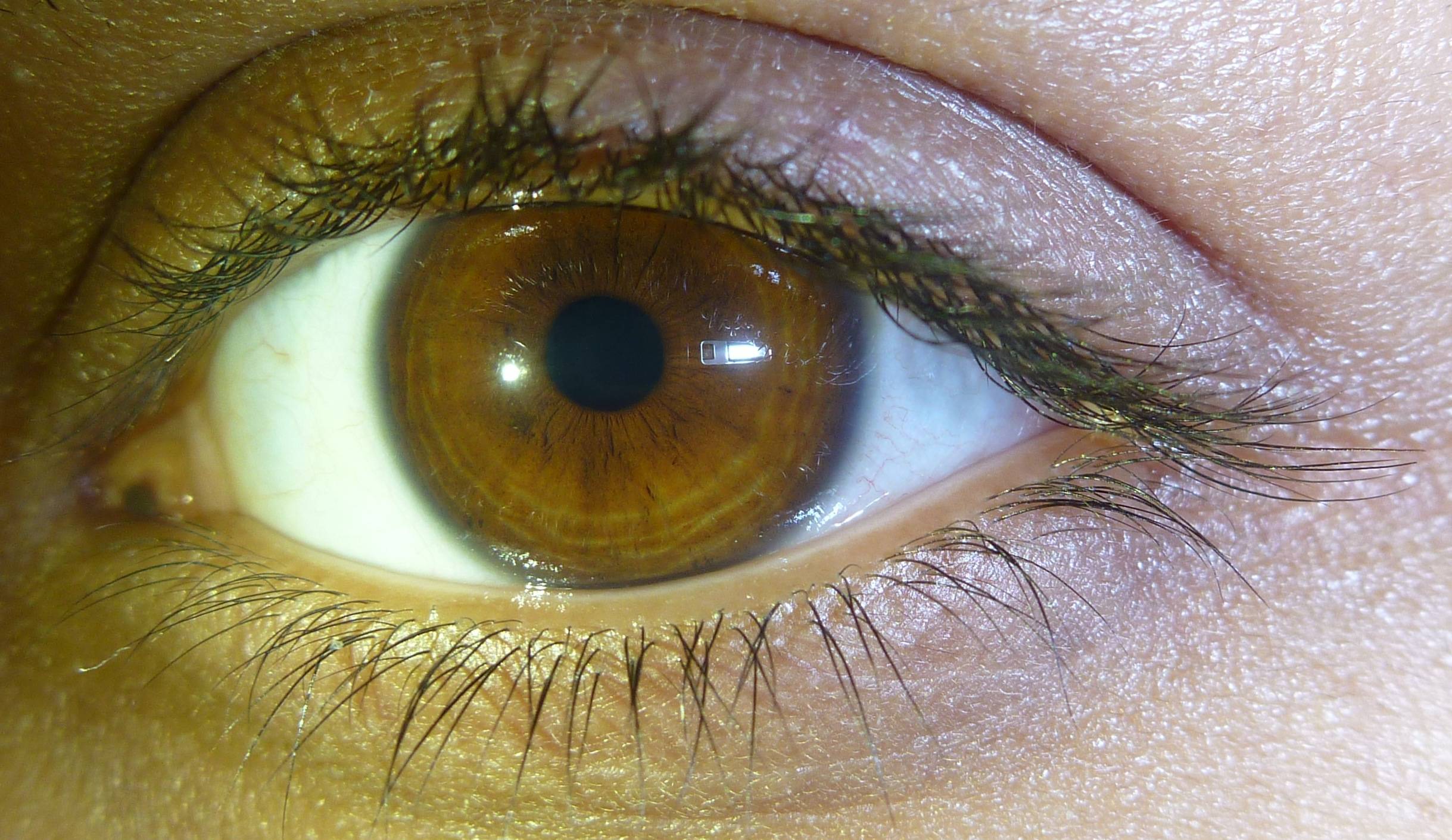 Карий цвет глаз - значение, особенности