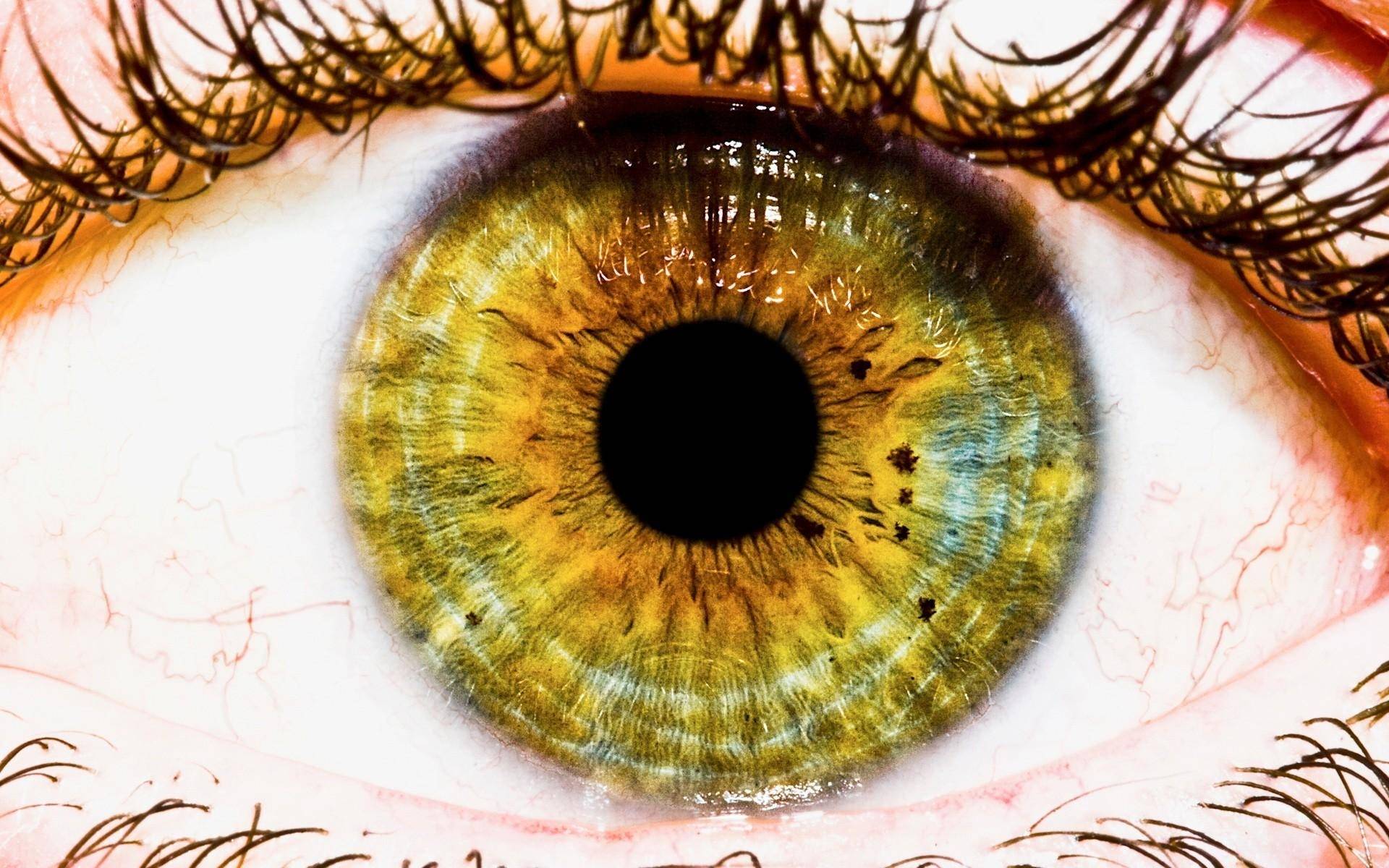 Что означает цвет глаз