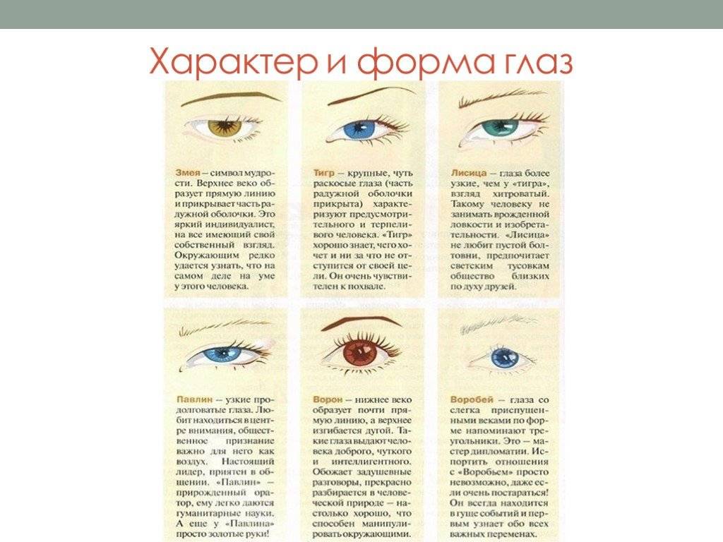 Цвет глаз - значение, характер человека
