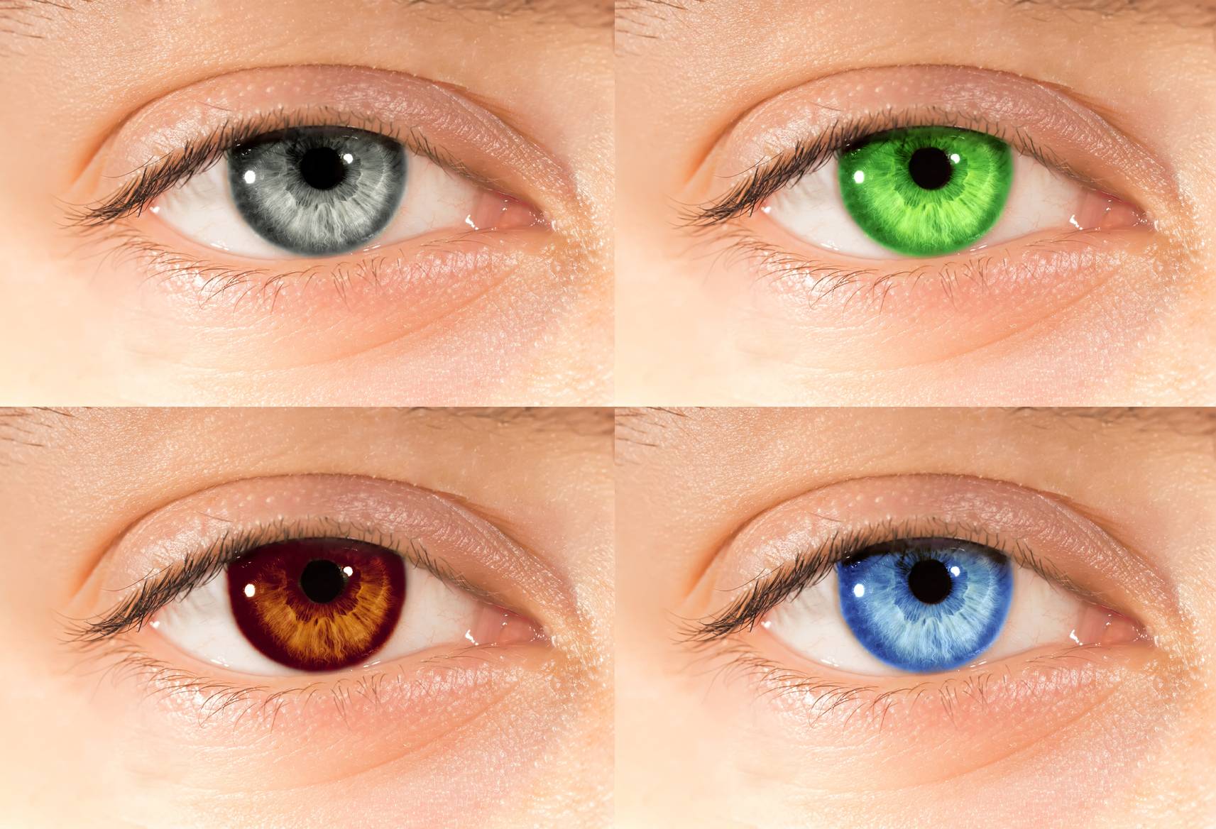 Разновидности цвета глаз у человека, какие бывают оттенки