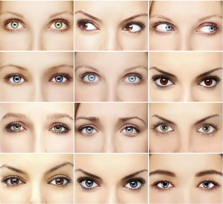 Форма глаз человека: как определить и изменить - "здоровое око"